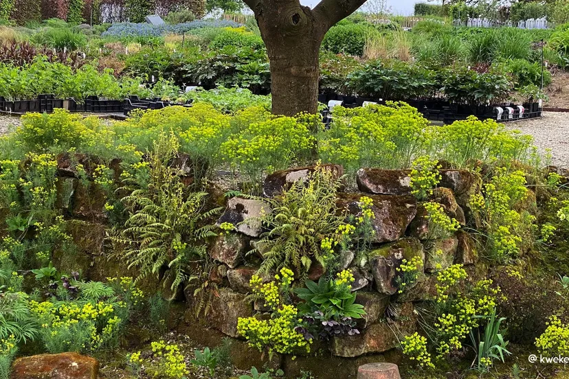 2023 05 20 kwekerij bastin