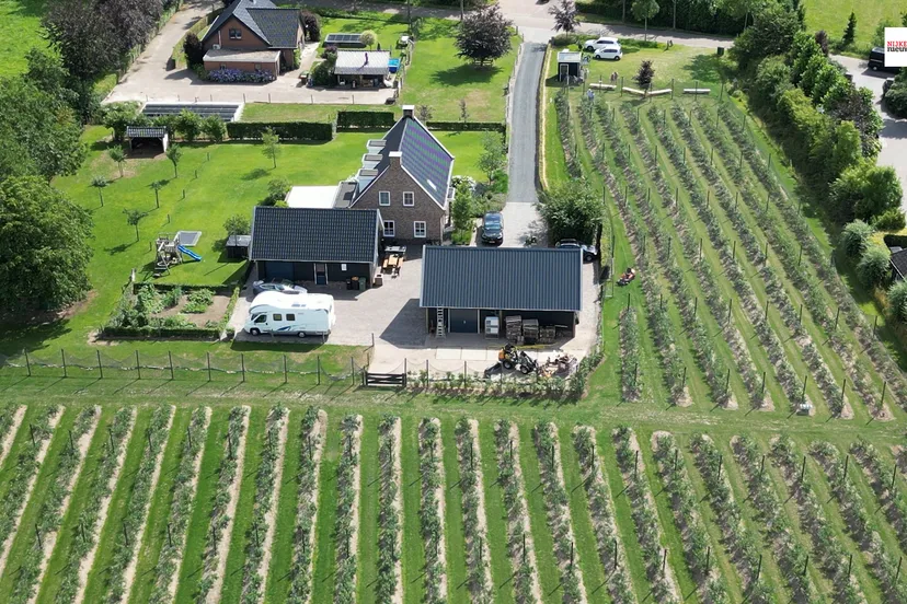 2023 07 11 blauwe bessen