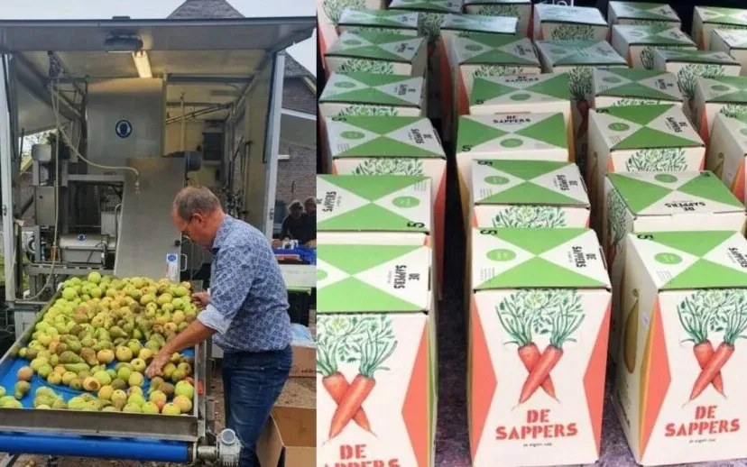 2023 10 03 sapdag 915x518 1