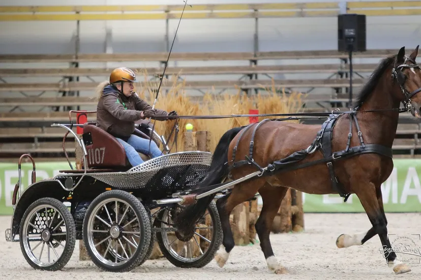 2023 11 03 menindoor 04