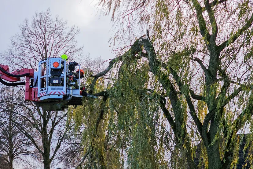 2023 11 24 grote tak