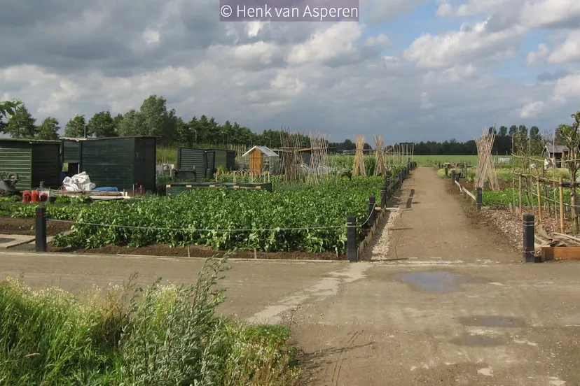 22017 06 07 volkstuinen dammersbeek