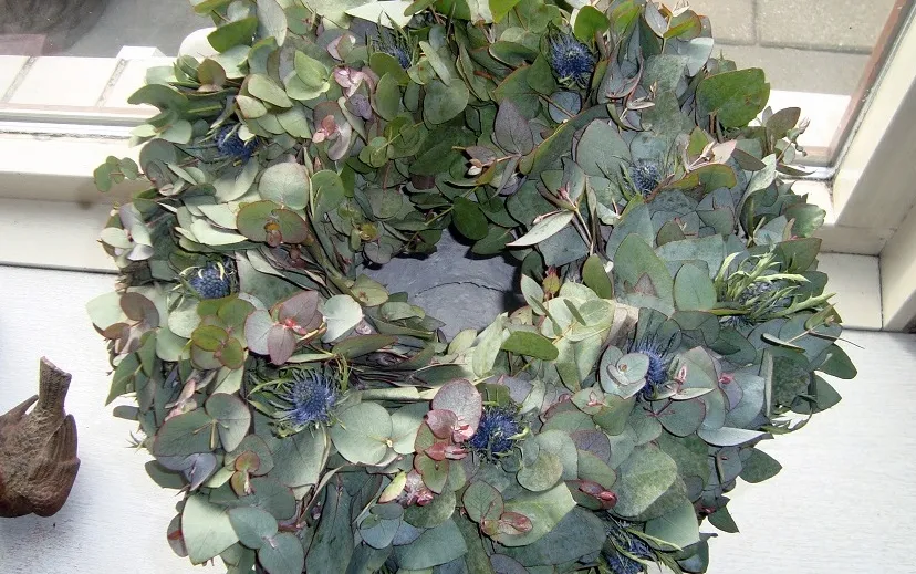 a78am2om0duizzolc8t8ujgrp 2014 12 02 groei en bloei