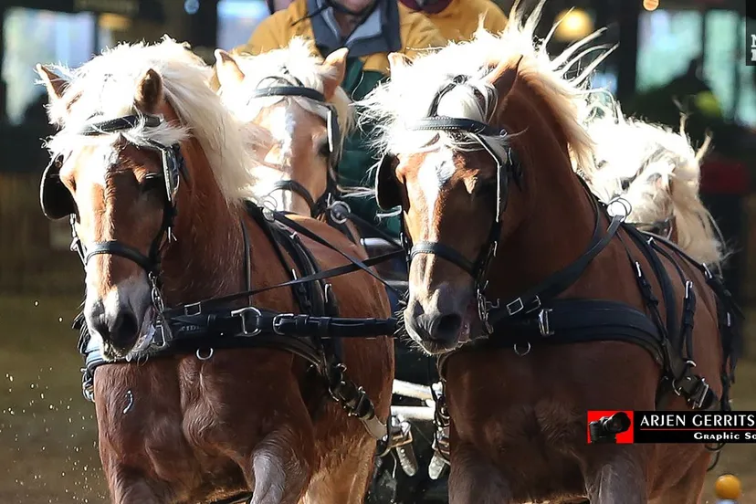 anakfkfy86oecploewsb057a9 2014 11 08 menindoor 001