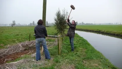 ark05i1nnfpiq1t5z003aee9o 28775