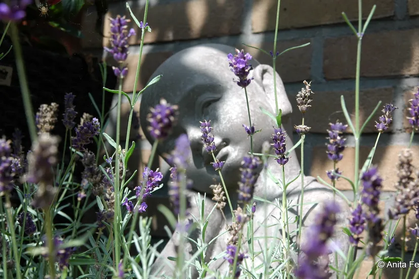 awcjlskcngq9cinpyy9yctjo7 2014 01 06 overgangspraktijk