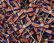 axdvcda166g9yyzw76317x9hy 58529