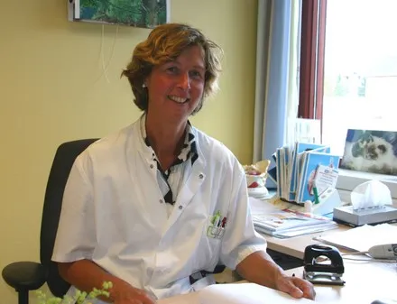 aybu2qywz27fdzj04r8n0zzh1 65991