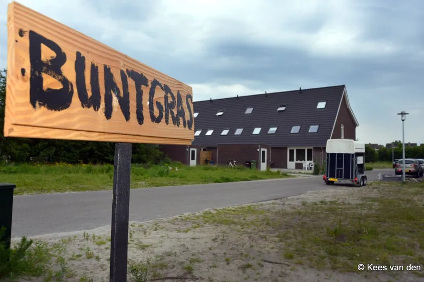 b4zgjyyyg8wbubqeugv6pr1v8 2014 05 26 buntgras