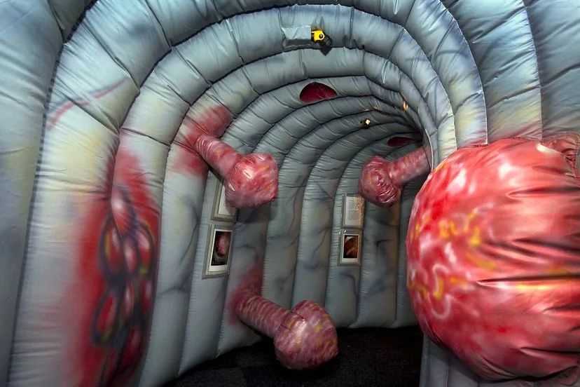 bh0i37ge3ndj7m1vwtxqk9ccv 2014 02 27 opblaasbare darm