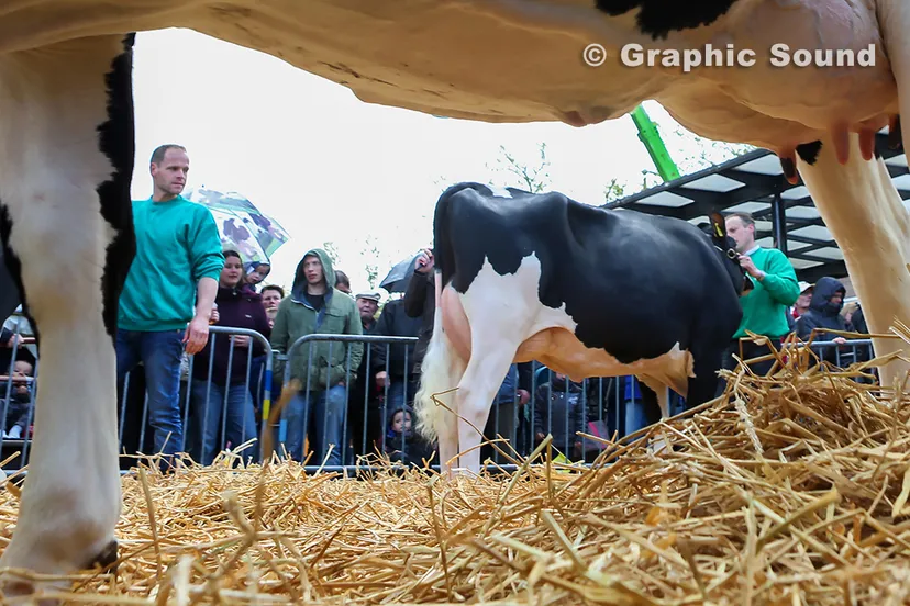 bneb7esq7o1y3heykuufwzojt 2014 04 14 boerenmaandag 014