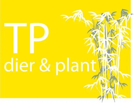 bp0wui0dqyi0gcgpzt9g2ug1v 83045