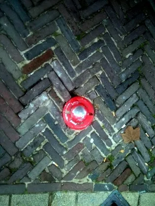 broxzi3os3vohc0li1gufjsce 34991