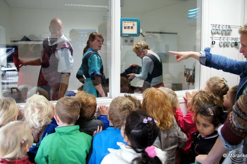 bwj273wbj02ws8eyso6743dds 2013 10 07 beatrixschool 2