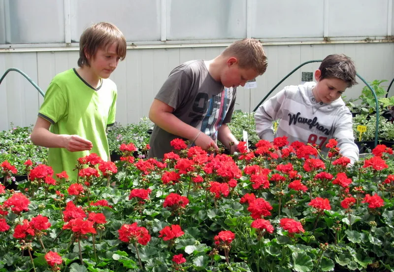 bykhx9q7lfi4xy9kjns34xnnv 226699