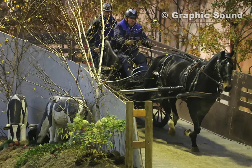 bz2x3fim9rf6ifwen5z4ojy59 2013 11 23 menindoor