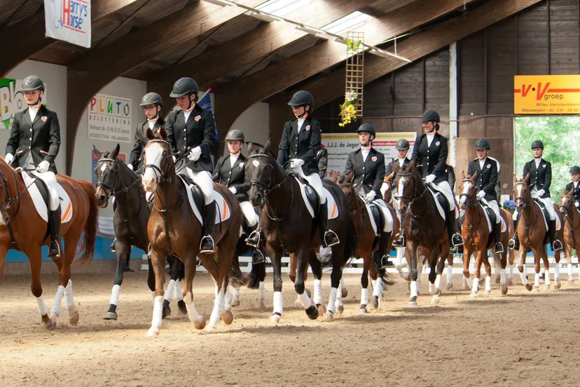 ccptx85aua5rnwqy50ahumh6p img0739