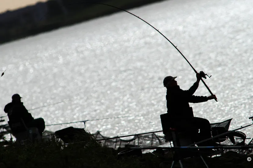 cnmu05rj6fsi2t2l6aqirfu24 feeder vissen