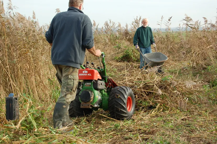 cqbo8pe9iaqphmlo3u3fwgtfm 2013 12 04 ivn 1