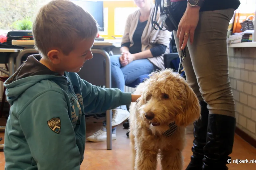 crcvwm1rtvpe45vr28m9q6klr 2013 11 08 hondentaal 3