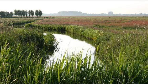 d2mu50qzmo9lmtz0c1qvrs689 arkemheensepolder