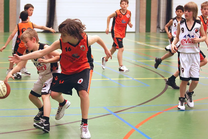 d3helbbz8lh1fisobmvqn8262 sparta basketbal 2