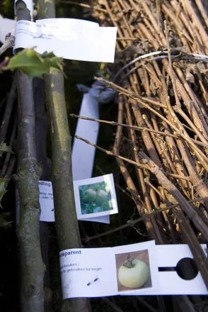 d4pvnabydh4n4sb3sr09i4xcw 116598