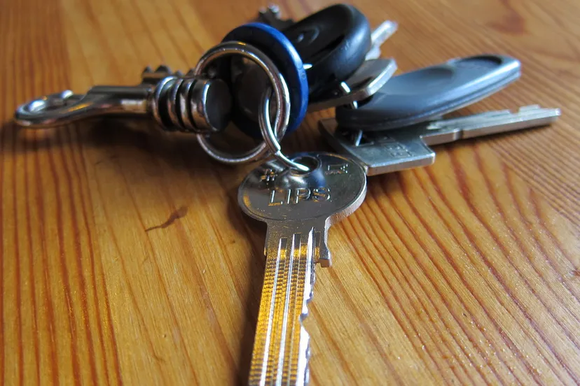 d899b832fuowxohef8bqxniid sleutelbos