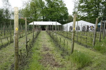 e0kqctfaj2o86fw2liov3xmr4 139749