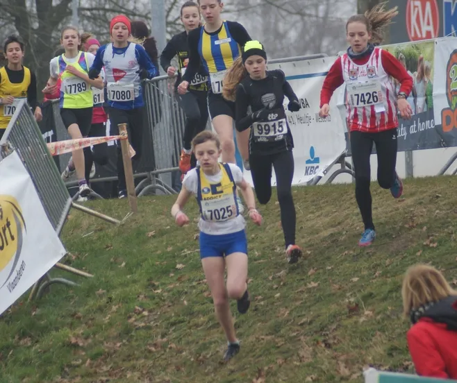 e1zpef3hd7zch7dlaqi94qwzn 212910