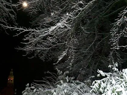 e3pl4opz422jr8uon35b0r7vm 38387