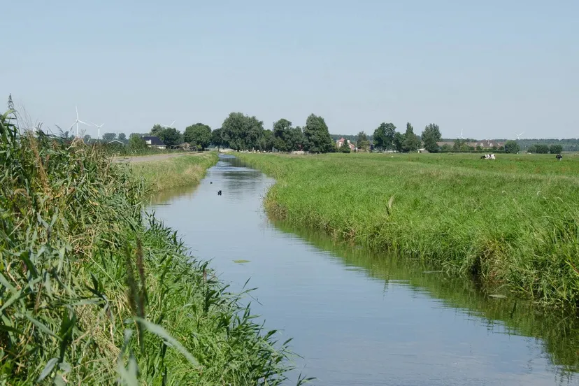 en8is2s0wd4d472pjtxquioka de laak