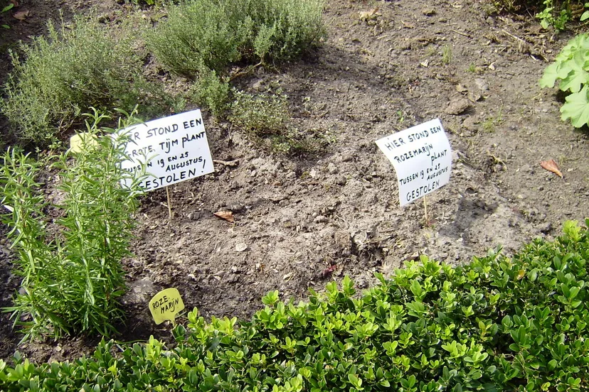 es6kdunx92x7kp04ttxz01pps 2013 09 06 kruidentuin