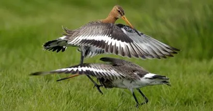 f91qpt5fipmhl4y66565hpykz 133328