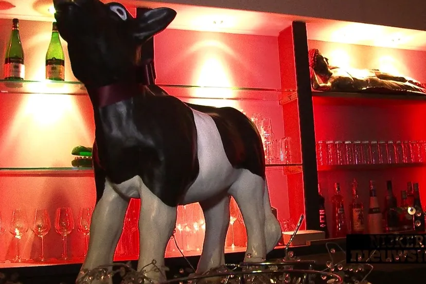 f9jk0ttwm6yfdj3smr1c6hbx8 knipsel 29