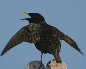 fadpwjv9n0201y970n64a0li0 233539