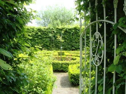 fg1m08ghym48yt5lb9tzf8s8u 144037