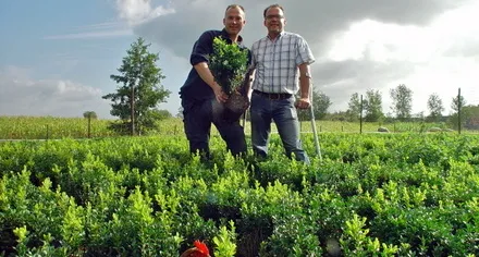 fm0b2a5wfmztpsjjkd0yvcsxd 86293