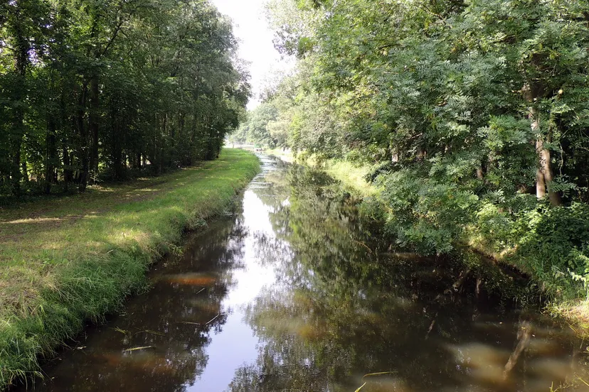 fpglr59qfaep57rp2bj1b3x1b 2013 09 05 ivn