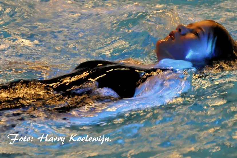 fyf042znuc3592jzj82sf61sh 2013 11 21 zwemmen voor kika 2