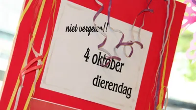 g1uevdwh7bnv5wkidpwppy0sm 27242