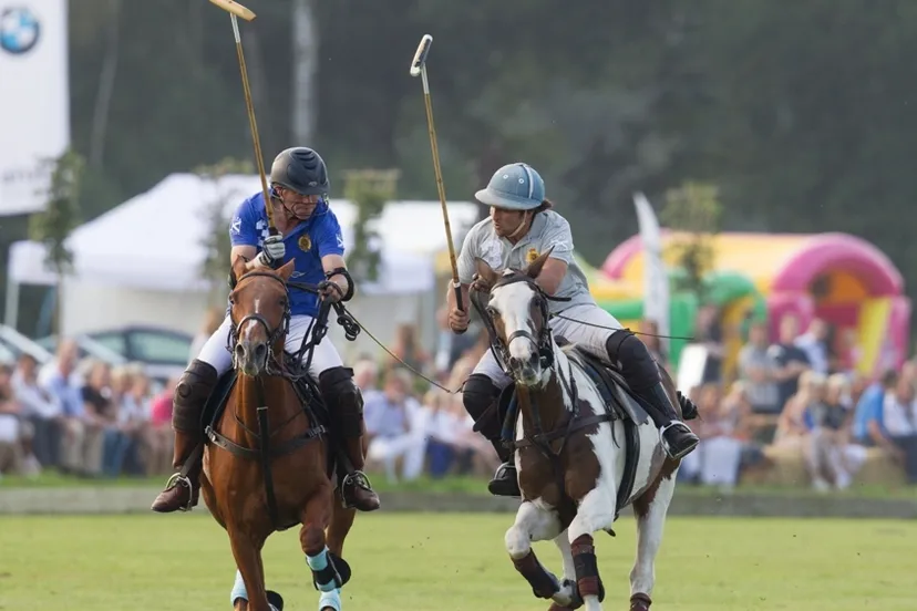 gksjhja5cxjbh6ik1tzbajuqh 1 1d 3623