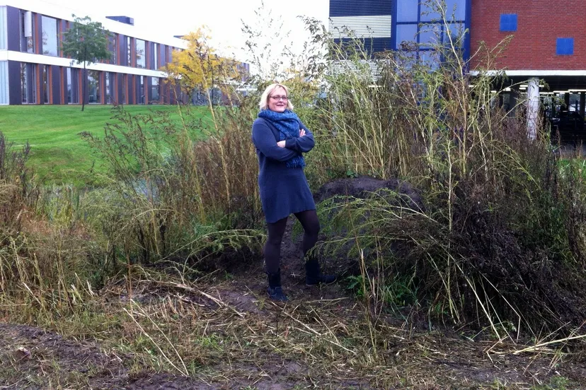 gmvurs9m4hmcre0o9gifya68b 2013 11 05 wijnijkerk andrea