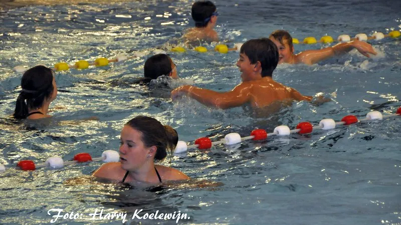 gs6jw0tmatn4x5afmxx88vzb8 2014 10 18 zwemvierdaagse flevo