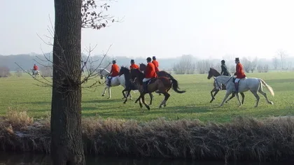 gwn0peo0cpuds8280u4mhjt20 45061