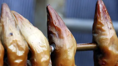 h5n55yzzxkvmu3js5s6ffbrqh 27217