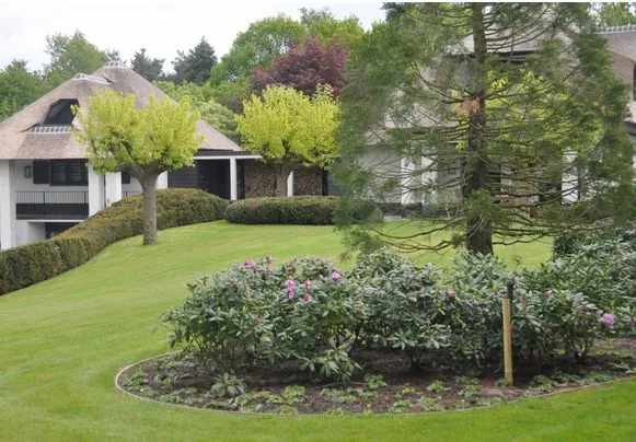 h6wigz1de5007k2ebtlh3h3ih 171383