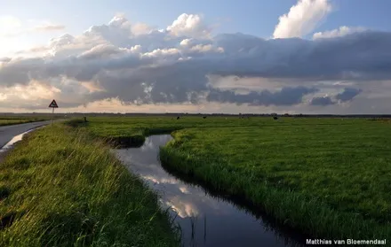 h986et408narhcu9bwepfifj4 99596