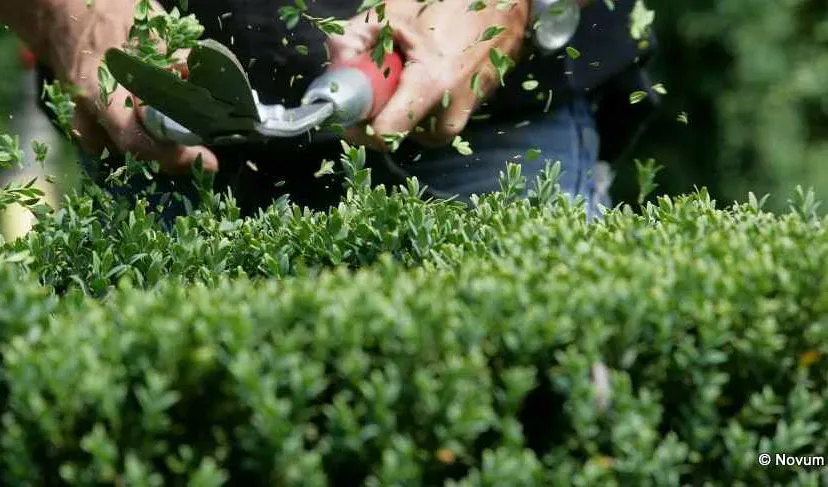 hdjbs948bs4aq5demlvho7q67 1755042007172