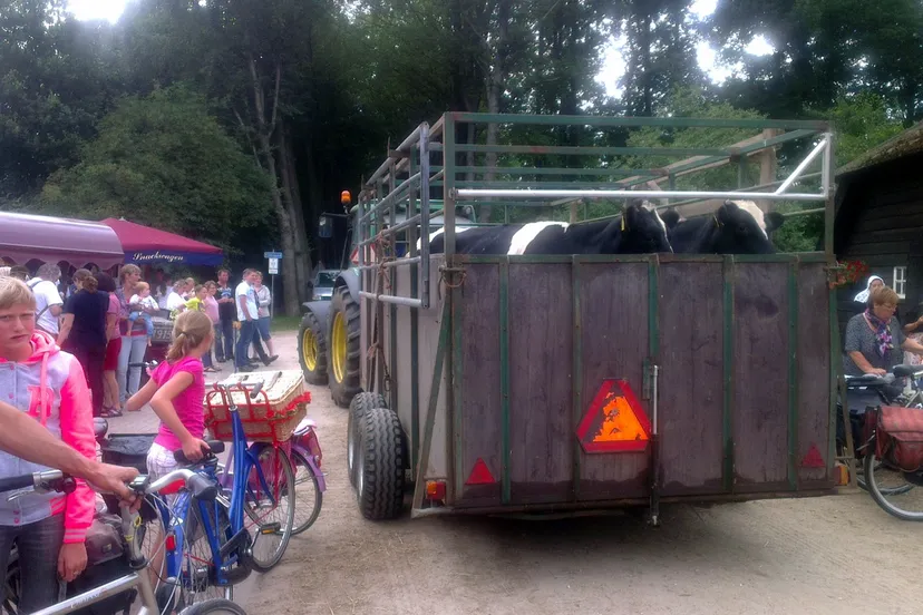 hgzwyi06nwmwifib5uo3pmmnc 2014 07 10 kijlkje achter de staldeuren